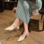 Women's Pointed Toe Block Heel Mules | Jonquil_1