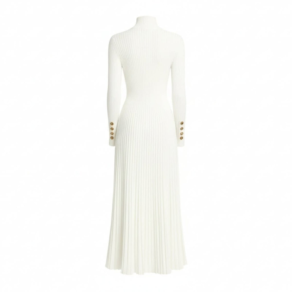 Women's Pleated Turtleneck Midi Dress | Berenice_15