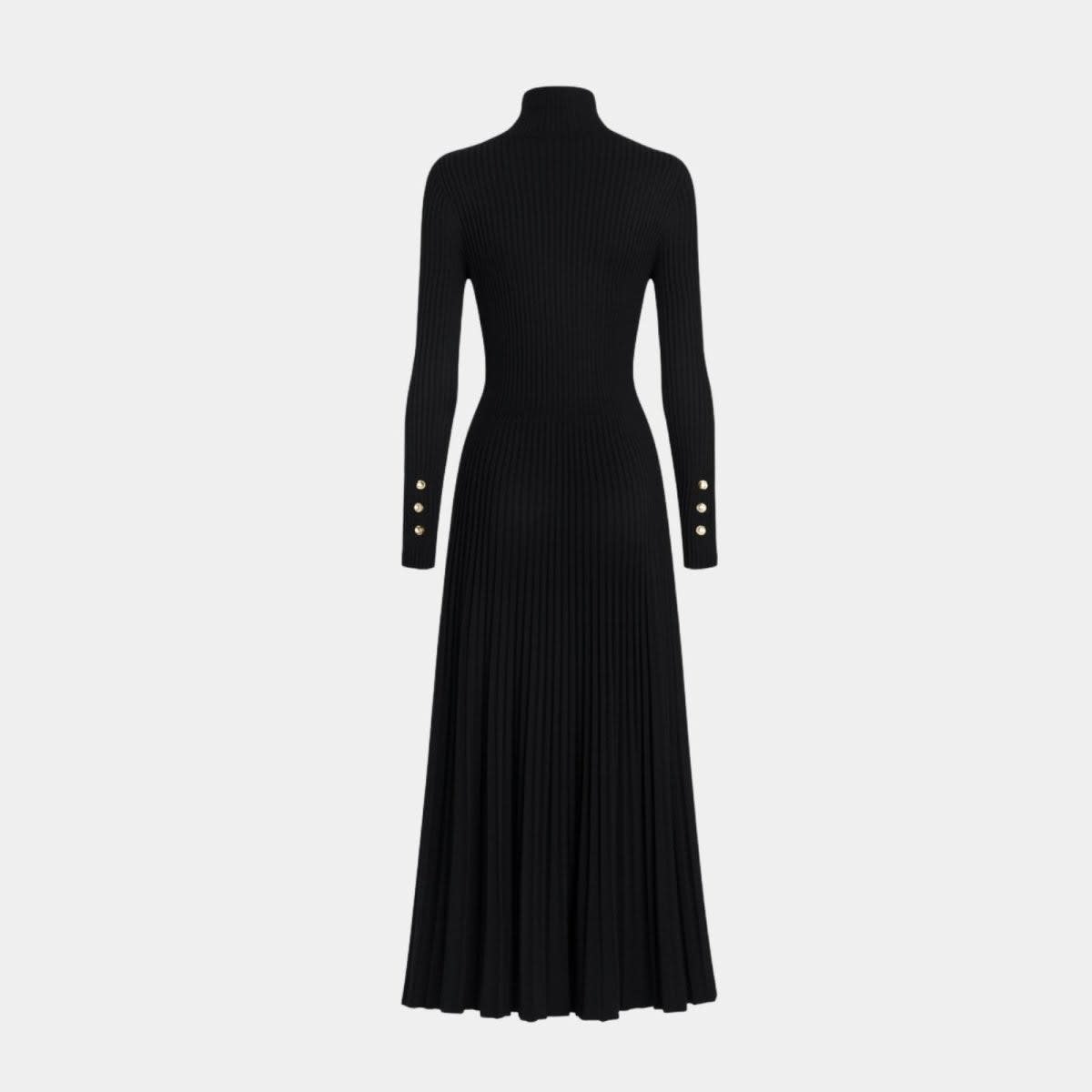 Women's Pleated Turtleneck Midi Dress | Berenice_4