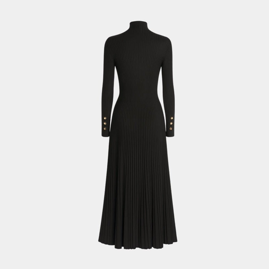 Women's Pleated Turtleneck Midi Dress | Berenice_5