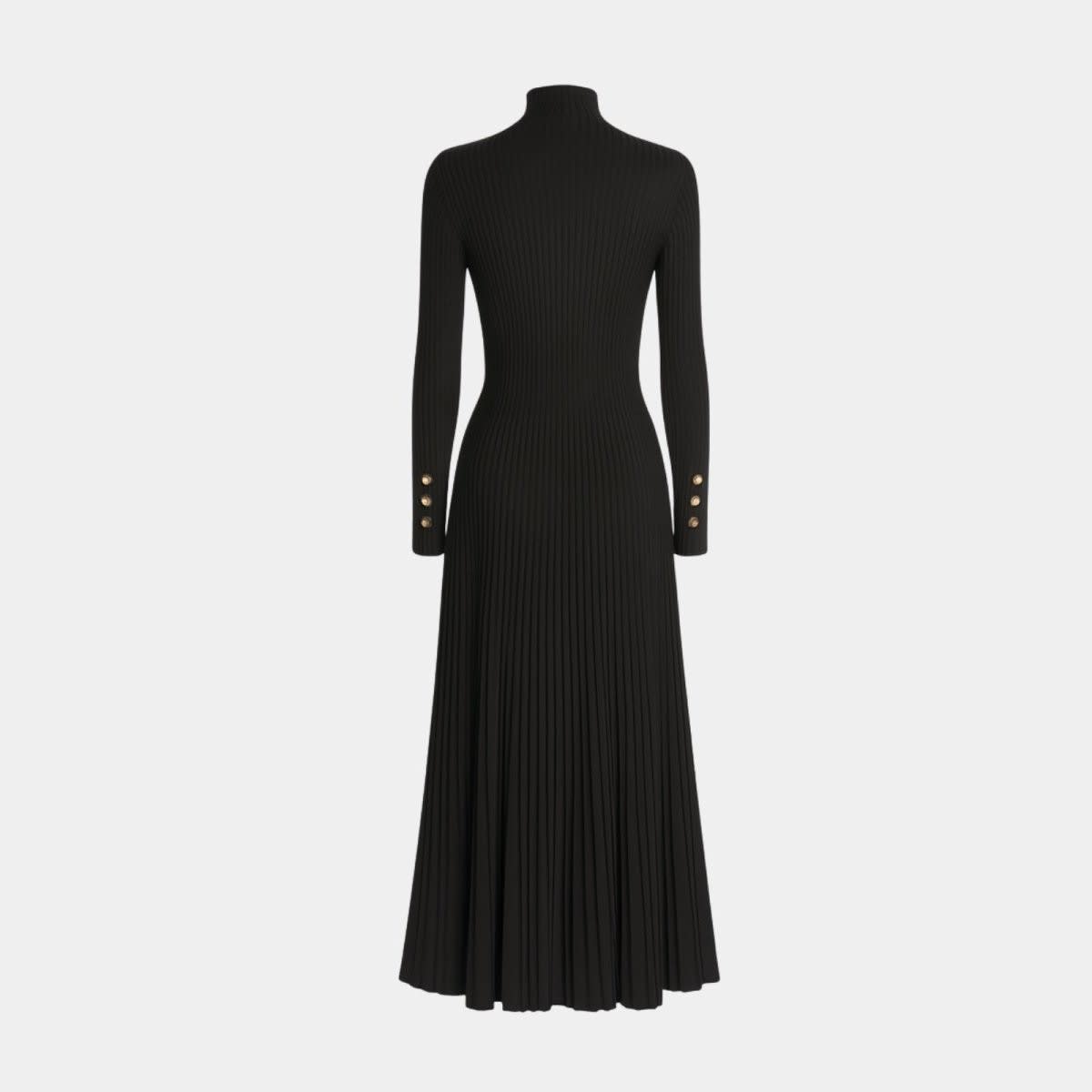 Women's Pleated Turtleneck Midi Dress | Berenice_5