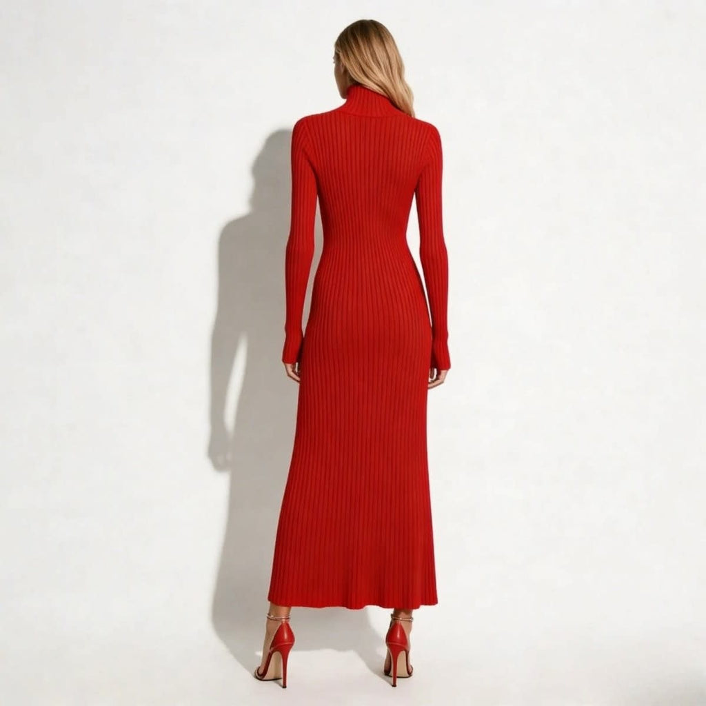 Women's Pleated Turtleneck Midi Dress | Berenice_8