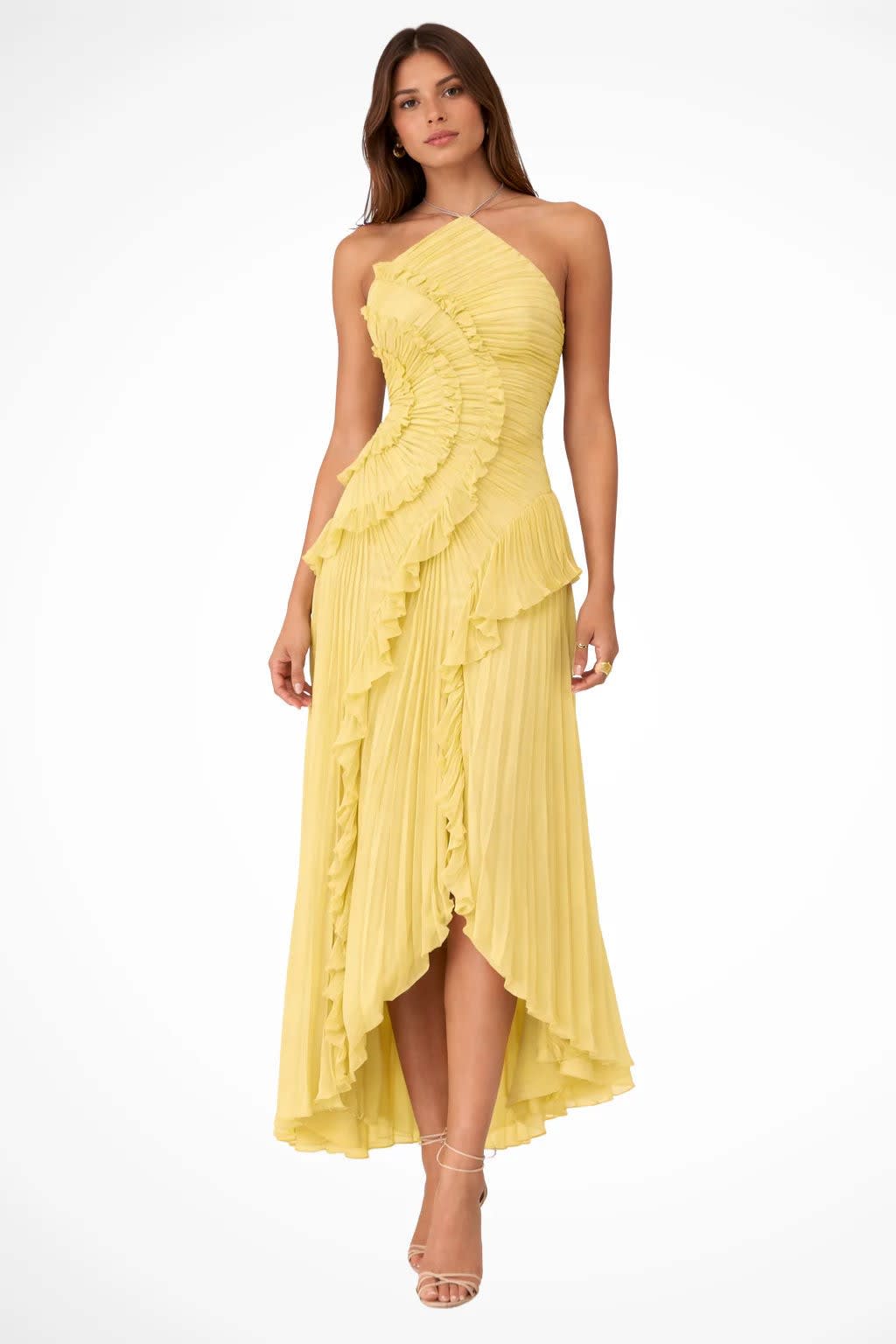 Women's Pleated Halter Neck Maxi Dress | Wren_2