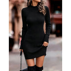 Women's Ribbed Turtleneck Sweater Dress | Georgiana_4