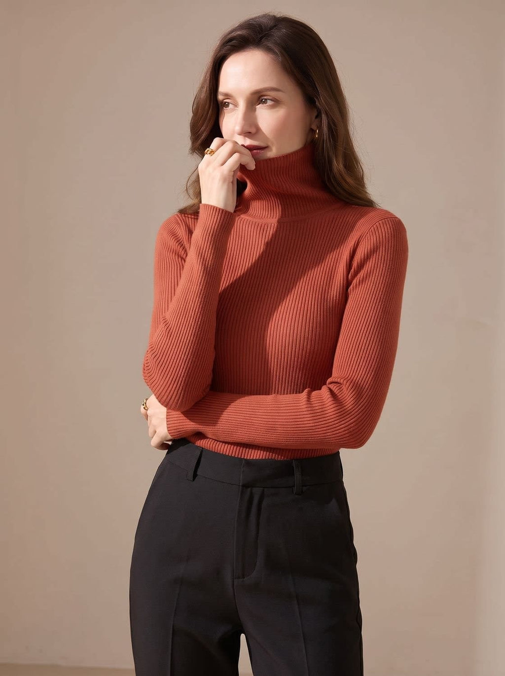 Women's Stretch Ribbed Turtleneck Top | Haverleigh_13