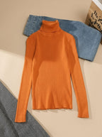 Women's Stretch Ribbed Turtleneck Top | Haverleigh_21