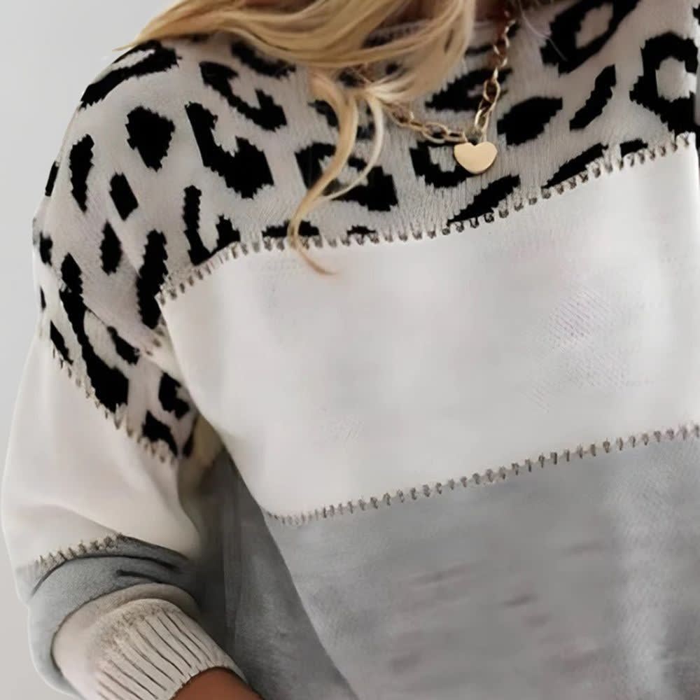 Women's Leopard Color Block Sweater | Meriel_2